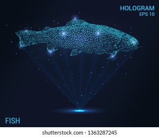 Fish hologram. Holographic projection fish. Flickering energy flux of particles. The scientific design of fish