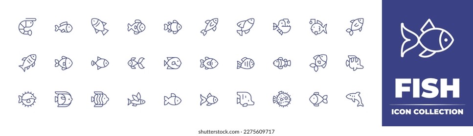 Fish icon collection. Duotone color. Vector illustration. Containing fish, clown, tuna, flying, anglerfish, abyssal, gold, blue tang fish, bread, puffer, tropical, shark.