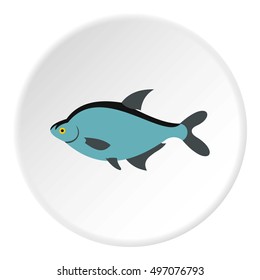 Fish icon. Flat illustration of fish vector icon for web