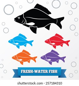 Fish icon. Food symbol. Cyprinidae family Carassius. Fresh-water, fish color signs with label on white background. Vector isolated.