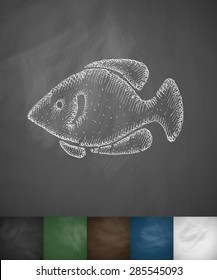 fish icon. Hand drawn vector illustration. Chalkboard Design