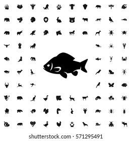 fish icon illustration isolated vector sign symbol