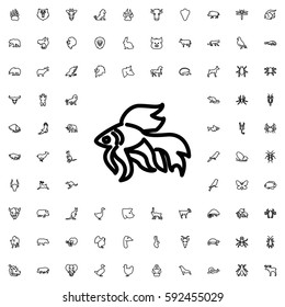 fish icon illustration isolated vector sign symbol. Animals icons vector set.