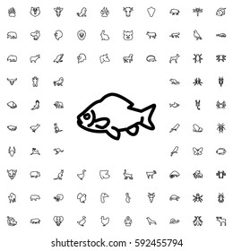 fish icon illustration isolated vector sign symbol. Animals icons vector set.