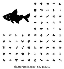Fish icon illustration isolated vector sign symbol. animals icons vector set. on white background