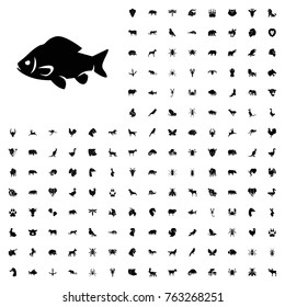 Fish icon illustration isolated vector sign symbol. animals icon set for web and mobile.