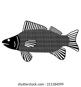 Fish icon white background  Vector illustration 