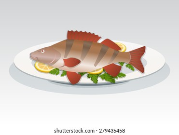 Fish icon. Perch on white plate with lemon and herbs. Food, seafood dish symbol. Percidae family. Fresh fish color sign with red fins on gray background. Vector isolated.