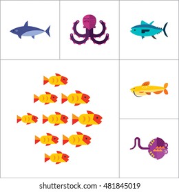 Fish Icon Set
