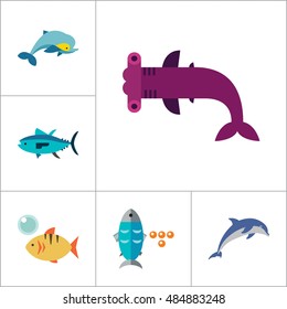 Fish Icon Set