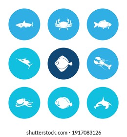 Juego de íconos y aleta de pescado con cetáceos, pulpos y langosta. Vector de icono de pez espada para el diseño del logotipo de la interfaz de usuario web.