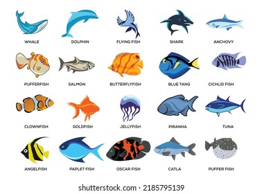 Fish icon set. Flat set of fish vector illustrations isolated on white background