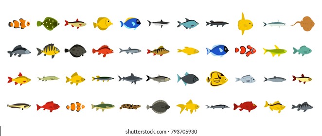 Fish icon set. Flat set of fish vector icons for web design isolated on white background