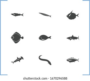 Fish icon set and hammerhead shark with dorado fish, tuna and turbot. Fish related fish icon vector for web UI logo design.