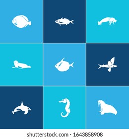 Fish icon set and harbor seal with seafood, flying fish and cetacean. Moon fish related fish icon vector for web UI logo design.