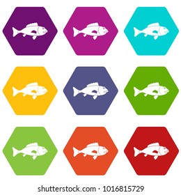 Fish icon set many color hexahedron isolated on white vector illustration