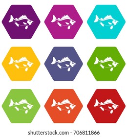Fish icon set many color hexahedron isolated on white vector illustration
