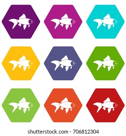 Fish icon set many color hexahedron isolated on white vector illustration