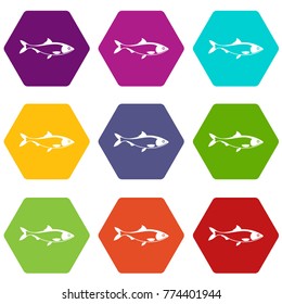 Fish icon set many color hexahedron isolated on white vector illustration