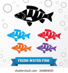 Fish icon set. Perch, European perch, redfin perch. Family Percidae. Fresh-water, fish color signs with label. Nature, food symbol. Vector isolated.  