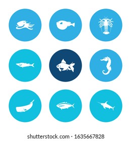 Fish icon set and sea horse with crustacean, tuna and swordfish. Globefish related fish icon vector for web UI logo design.