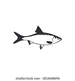Fish icon. Fish shop. Fishplate. Icon for menu. Fish menu. Seafood icon. Logo template. Hand drawn design element. Handdrawn fish. Sea animal. Seafood. Food icon.