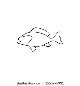 fish icon a trendy flat design