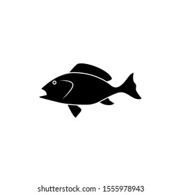 fish icon a trendy flat design