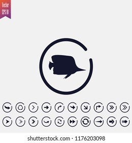 fish icon vector illustration. arrow icons set