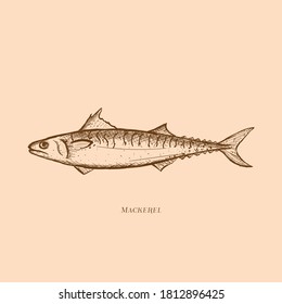 fish icon vintage logo fishery seafood
