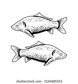 fish icon. vintage or modern art logos and illustrations