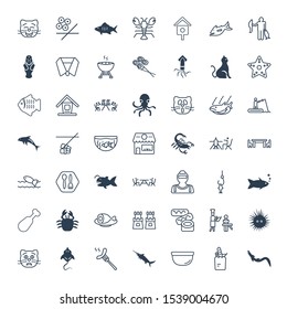 fish icons. Editable 49 fish icons. Included icons such as Moray, Groceries, Bowl, Swordfish, Barbecue, Stingray, Cat, Sea Urchin, Restaurant, Sushi. fish trendy icons for web.