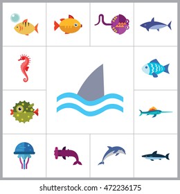 Fish Icons Set