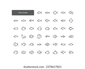 Fish icons set. A collection of animals. Trout, salmon, anchovy, tuna, cod, bream, herring, eel, pike perch, carp, mackerel species images