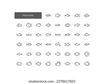 Fish icons set. A collection of animals. Trout, salmon, anchovy, tuna, cod, bream, herring, eel, pike perch, carp, mackerel species images