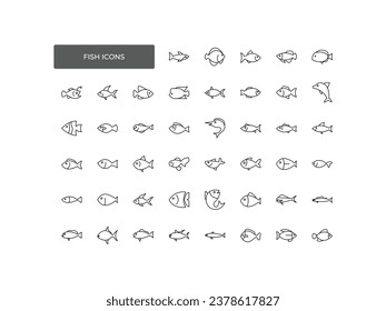 Fish icons set. A collection of animals. Trout, salmon, anchovy, tuna, cod, bream, herring, eel, pike perch, carp, mackerel species images