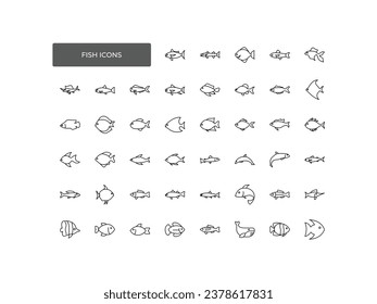 Fish icons set. A collection of animals. Trout, salmon, anchovy, tuna, cod, bream, herring, eel, pike perch, carp, mackerel species images