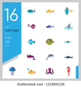 Fish icons set with dolphin, shark and seahorse. Thirteen vector icons