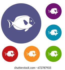 Fish icons set in flat circle red, blue and green color for web