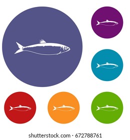 Fish icons set in flat circle reb, blue and green color for web