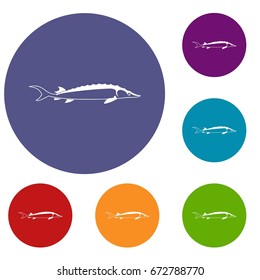 Fish icons set in flat circle reb, blue and green color for web