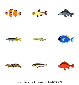 Fish icons set. Flat illustration of 9 fish vector icons for web