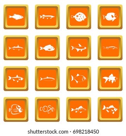 Fish icons set in orange color isolated vector illustration for web and any design