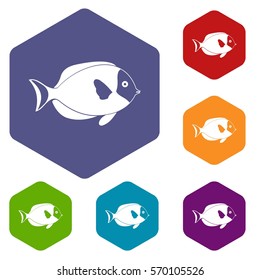 Fish icons set rhombus in different colors isolated on white background