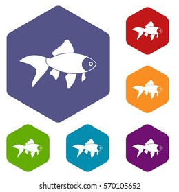 Fish icons set rhombus in different colors isolated on white background