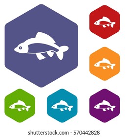 Fish icons set rhombus in different colors isolated on white background