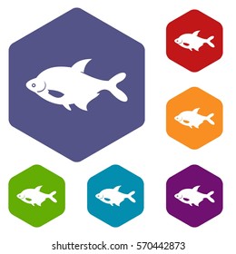 Fish icons set rhombus in different colors isolated on white background