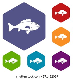 Fish icons set rhombus in different colors isolated on white background