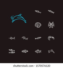 Fish icons set. Sardine and fish icons with shrimp, crucian and seafood. Set of undersea for web app logo UI design.