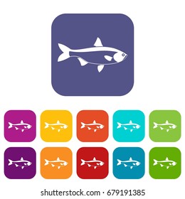 Fish icons set vector illustration in flat style In colors red, blue, green and other